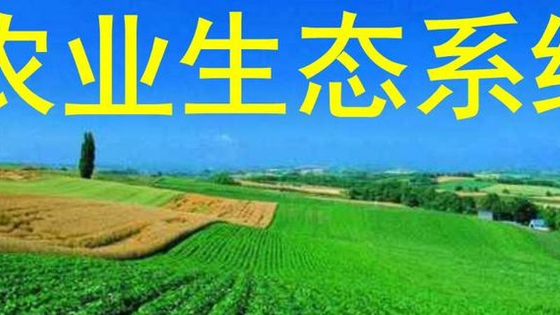 智慧农业在成都：项目公司推荐与趋势分析