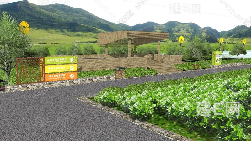 新疆红枣种植的气候条件解析**