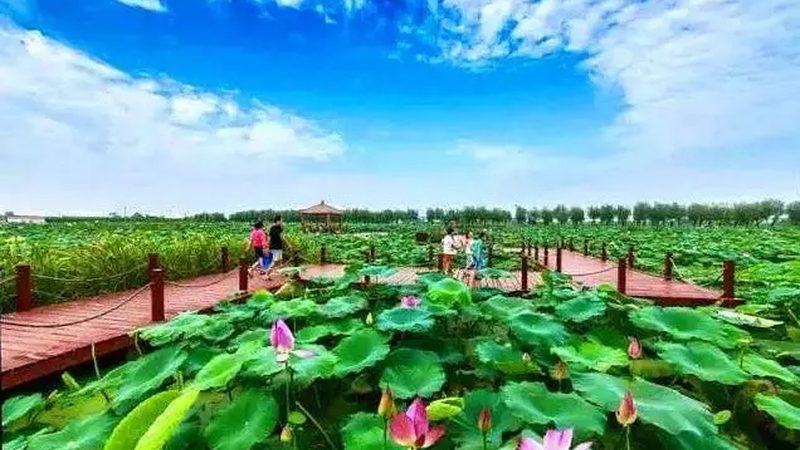 智慧农业种植管理系统选型前先想清楚这四件事