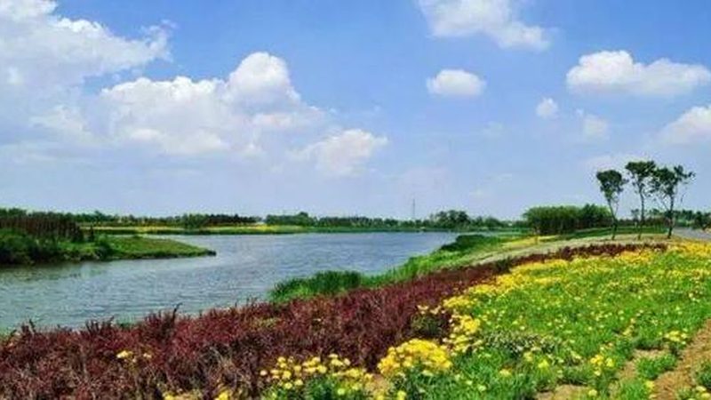 揭秘农资肥料真假辨别：加盟代理的五大关键点