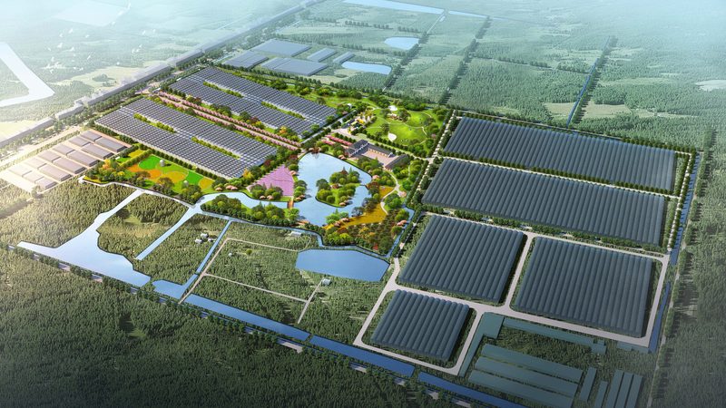 大棚蔬菜种植，如何打造高效学习网站？**