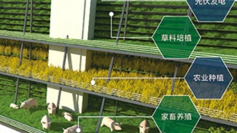 山地农业项目代理费用：合理预算与价值考量