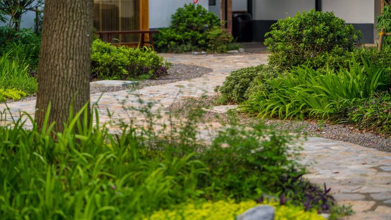 小规模家庭南方水果种植基地建设要点解析