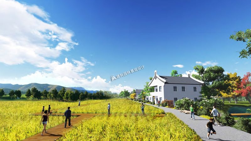 农业合作社如何有效带动农户共同发展？**