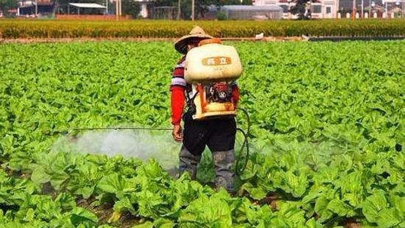 绿色食品标签加盟代理：揭秘绿色食品产业链的“通行证