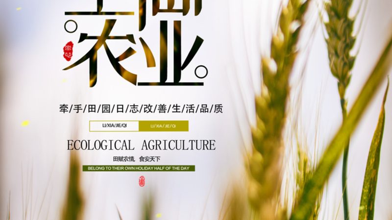 工厂食堂食材配送公司